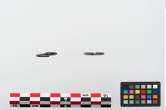 Foto von Bronzering (NHMW-PRAE-024110)